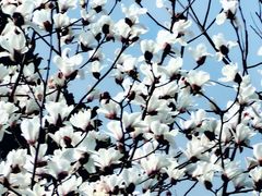 -杭州城北体育公园