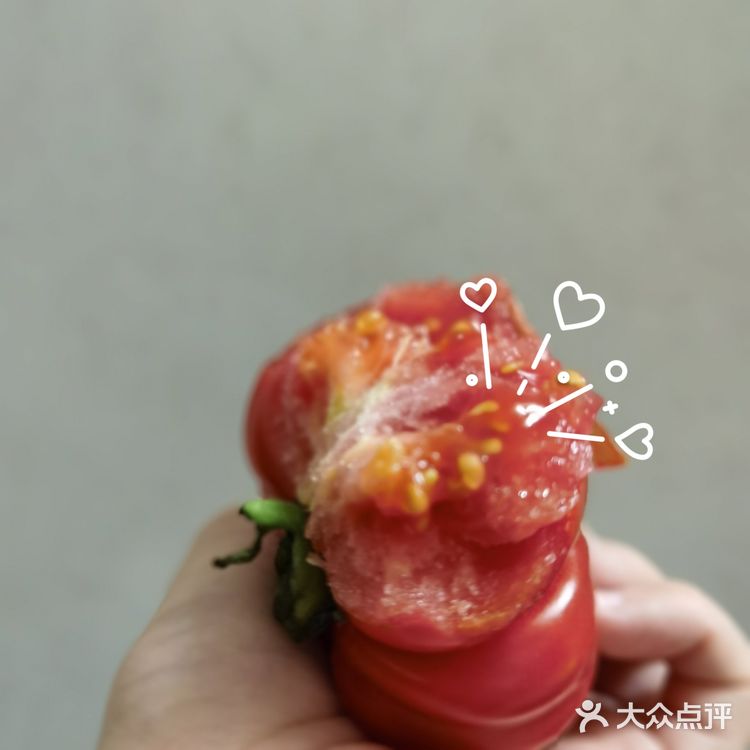 🍅奇奇怪怪可可爱爱番茄记录～