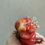 🍅奇奇怪怪可可爱爱番茄记录～