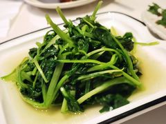 清炒鸡毛菜-19号私房菜(云南路店)