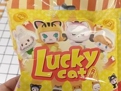 -泡泡玛特POPMART(上海环球港店)