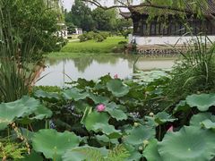 -扬州大运河文化旅游度假区·盆景园