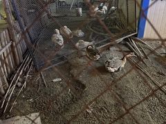 -鱼窝棚柴火铁锅炖(富山屯店)