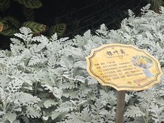 -晶宝温泉农庄