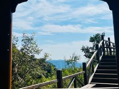 -大岭沟猕猴桃谷风景区