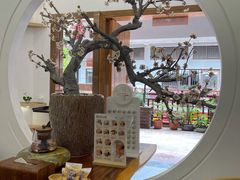 -不凡脑禅境·养生·舒压调理SPA(华发世纪城店)