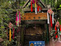 -西双版纳原始森林公园