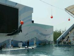 -北戴河圣蓝海洋公园