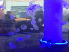 -唱吧麦颂KTV(东胜港悦广场店)