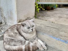 -三溪村