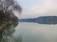 -东园小馆·早茶·淮扬小炒(宋夹城店)