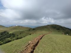 -大姆山草场