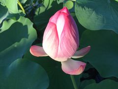 -中家鑫园温泉酒店鑫悦汤泉