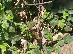 -会稽山峡洞漂流-上青古道