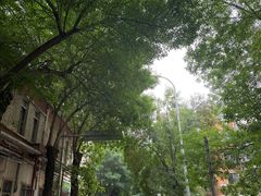 -静园(和平区)