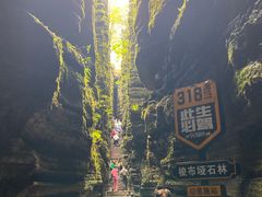 -梭布垭石林景区