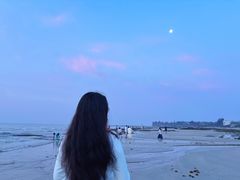 -贝壳沙滩