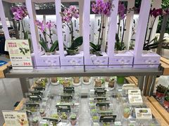 -鹿岛生活(熙地港店)
