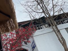 -桃源山庄·水蜜桃采摘·柴火鸡·烧烤团建(龙泉山店)