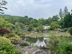 -杭州植物园