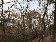 -山东大学(威海校区)