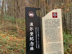 -波尔登森林公园