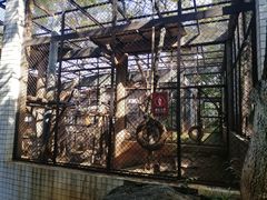 -昆明动物园