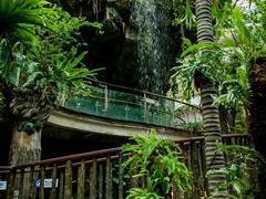 -正佳雨林生态植物园