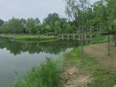 -东郊湿地公园
