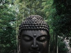 -杭州植物园