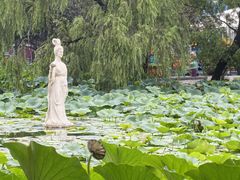 -北陵公园