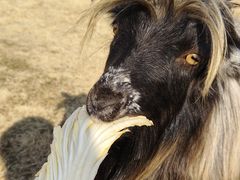 -遇见世外桃源教育农场