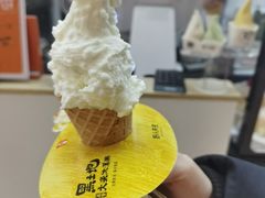 -野人先生现做冰淇淋(北京环宇荟店)