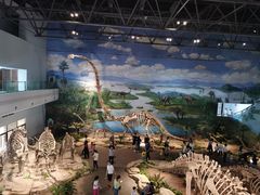 -自贡恐龙博物馆