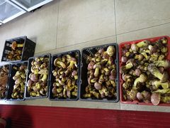 -双喜农庄·菌香园(安居家园店)