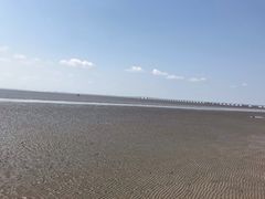 -南汇嘴观海公园