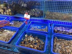 水产区-必点海鲜·鲅鱼水饺(鞍山西道店)