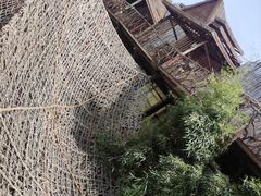 -呀路古热带植物园