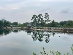 -三圣花乡旅游区