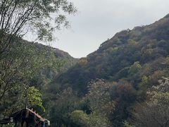 -少华山国家森林公园