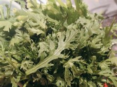 -捞王猪肚鸡火锅(昆山店)