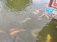 -珠海圆明新园