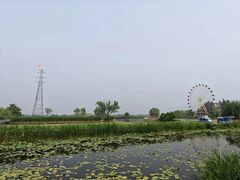 -白洋淀景区