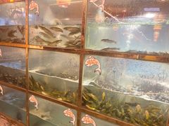 -三道苗苗鱼·美蛙黄辣丁(八里店)