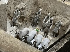 -秦始皇帝陵博物院-丽山园