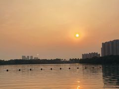 -飞来湖湿地公园