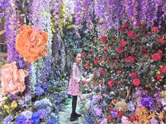 -正佳雨林生态植物园
