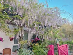 -小仙居·农家宴烤羊· 农庄