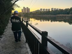 -前关湿地公园