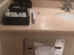 -圣雷克大酒店